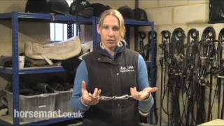 How to bit a horse eggbutt snaffle and loose ring snaffle [upl. by Indnahc]