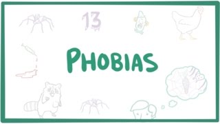 Phobias  specific phobias agoraphobia amp social phobia [upl. by Charmine237]