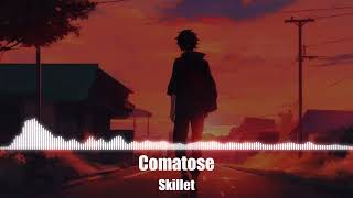 Skillet  Comatose [upl. by Mckee811]