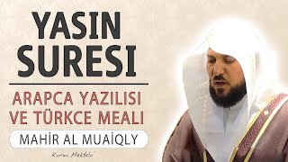 Yasin suresi anlamı dinle Mahir al Muaiqly Yasin suresi arapça yazılışı okunuşu ve meali [upl. by Howlan]