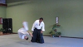 Tenshin Aikido Kokyus [upl. by Idnal588]