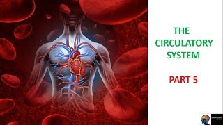 Circulatory System  ICSE Class 10th BiologyPart5 [upl. by Hayley]