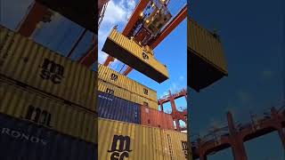 MSC SHIP  BERANGERE SHIP  LODING amp UNLOADING  Quay Crane  MSC CONTAINER  LIFEOFPORTS shorts [upl. by Attekal]