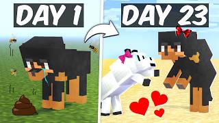 A Day in a Life of a Dog in Minecraft [upl. by Itin156]