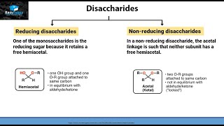 What Are Disaccharides [upl. by Clinton]