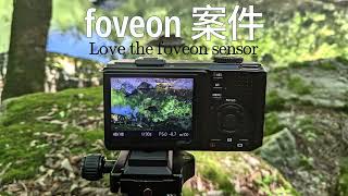 foveon案件 Love the foveon sensor [upl. by Reel]