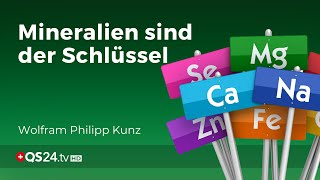 Schüssler Salz  Die Mineralien sind der Schlüssel  nach Dr Schüssler  QS24 18032020 [upl. by Palma]