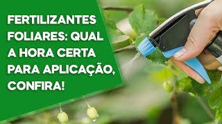 FERTILIZANTES FOLIARES QUAL A HORA CERTA PARA APLICAÇÃO CONFIRA [upl. by Ehcropal807]