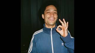 Loyle Carner Type Beat Born And Raised [upl. by Eitsim]