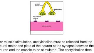 exotoxins cytotoxins neurotoxins enterotoxins enterotoxins [upl. by Tse]