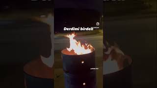 Bir unutsam derdimi birden geriye ne kalır ki benden Deniz Tekin [upl. by Nenad]