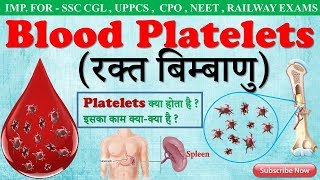 Blood platelets in hindi  platelets  Biology gk trick  SSC CGL CHSL  RAILWAY EXAM [upl. by Hcone111]