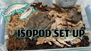 How To Make An Isopod Enclosure Plus Unboxing From Dubia Roaches [upl. by Sone]