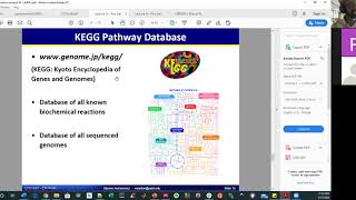 04 Metabolic Databases  Metabolic Flux Analysis  Lecture 10  Metabolic Engineering  SP20 [upl. by Ingrim321]