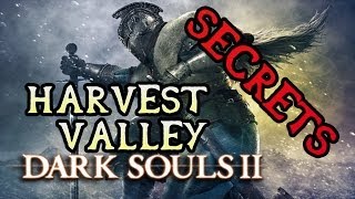 Dark Souls 2 Secrets HARVEST VALLEY [upl. by Wooster]