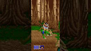 Golden Axe II PC retrogaming goldenaxe2 goldenaxe gamesdos games [upl. by Amund359]