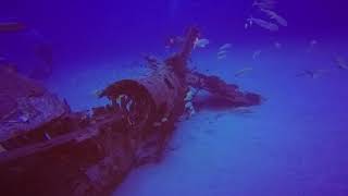 Pearl Harbor WWII Plane Wreck Oahu Hawaii  Corsair Wreck Scuba Dive [upl. by Ruthie]