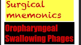 Phases of Oropharyngeal Swallowing [upl. by Anerol]