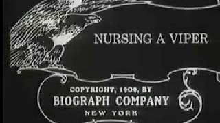 Scott Lord Silent Film Nursing a Viper DW Griffith Biograph 1909 [upl. by Hnilym49]