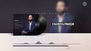 Adem Ramadani  O njeri o gjynahçar Official Video [upl. by Ellenar782]