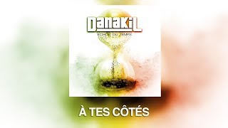 Danakil  À Tes Côtés Audio Officiel [upl. by Lhamaj]