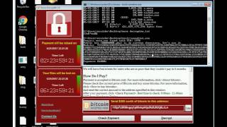 WanaKiwi WannaCry Ransomware Decryption Tool [upl. by Rosenberg]