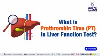 What is Prothrombin Time PT in Liver Function Test  lft liverfunctiontests [upl. by Aurora482]