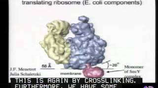 Mechanisms of Protein Translocation Across Membranes [upl. by Gnos]