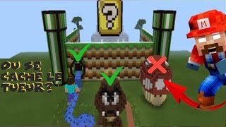 NE CHOISISSEZ PAS LE MAUVAIS MARIO MINECRAFT [upl. by Ronoel467]