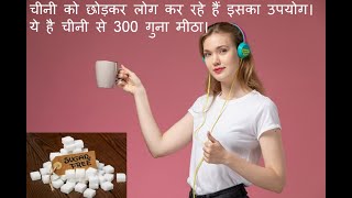 चीनी को छोड़कर लोग कर रहे हैं इसका उपयोग।ये है चीनी से 300 गुना मीठा।stevia diabetes lifestyle [upl. by Mayda]