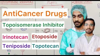 Topoisomerase Inhibitor  Irinotecan  Topotecan  Etoposide  Teniposide [upl. by Robert844]