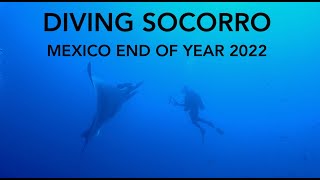 Diving Socorro Mexico End of Year 2022 in 4K [upl. by Domingo]