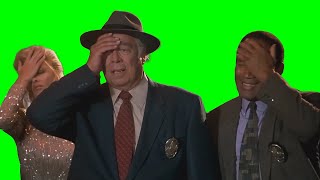 Facepalm Meme  Green Screen [upl. by Eillim]