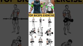 Biceps Exercises  biceps workout with dumbbells  biceps Best Bicep workout biceps bicepworkout [upl. by Rein853]