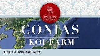 CONIAS koi farm éleveur de carpe koi pour votre bassin [upl. by Iluj]