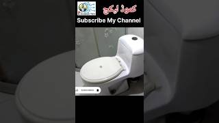 Commode Flush Tank Leakage  English Toilet Seat Leakage [upl. by Connors]