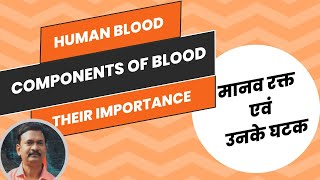 मानव रक्त के घटक और उनके कार्य COMPONENTS OF BLOOD Their importance [upl. by Altman]