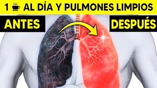 Limpiar Pulmones del Tabaco 🚬 ¿Cómo Limpiar los Pulmones de un Fumador [upl. by Alecia199]