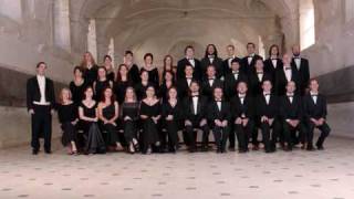 Lobet den Herrn alle Heiden BWV 230 Ars Brunensis Chorus LIVE [upl. by Innavoij]