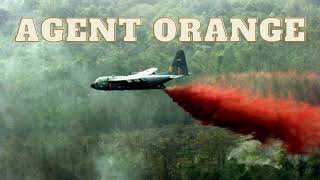 Agent Orange shorts viral [upl. by Venola]