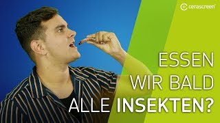 Deshalb solltest du Insekten essen  Sind Insekten sauber genug [upl. by Skrap954]