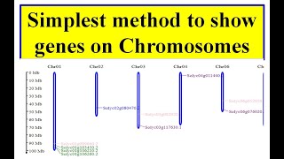 Gene location on chromosome MG2C [upl. by Ahouh]