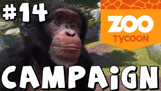 Zoo Tycoon Xbox One  Preservation Jam  Campaign Mode [upl. by Ynahpets]