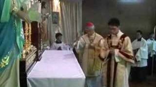 Cardinal Zen Pontifical Mass in Latin Part 1 [upl. by Yong]