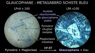 Glaucophane amphibole sodique HP BT dans métagabbro du faciès des schistes bleus LPnA vs LPA x100 [upl. by Poree]