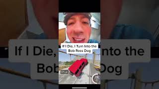 If I Die I Turn Into The Bob Ross Dog🐶 Ring Doorbell TikTok [upl. by Armando]