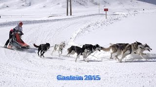 Schlittenhunderennen in Sportgastein 2015 Sony 4 K [upl. by Lietman787]