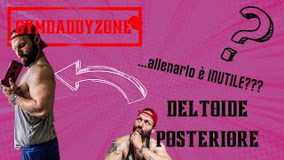 DELTOIDE POSTERIORE  allenarlo è INUTILE  SI e NO  il Daddy te lo spiega [upl. by Cassandry475]