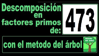 Descomposición en factores primos de 473 Descomponer 473 en factores primos  método del árbol [upl. by Leiad]