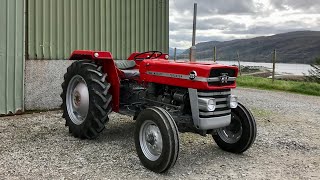 Massey Ferguson 135 Restoration [upl. by Gow]